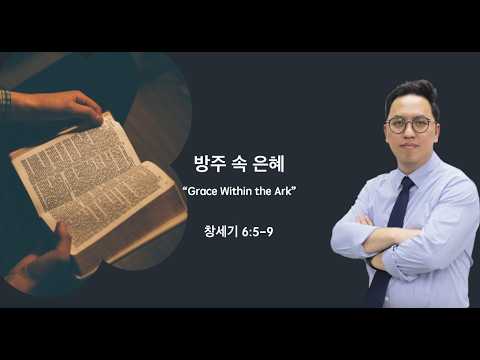 방주 속 은혜(Grace Within the Ark)
